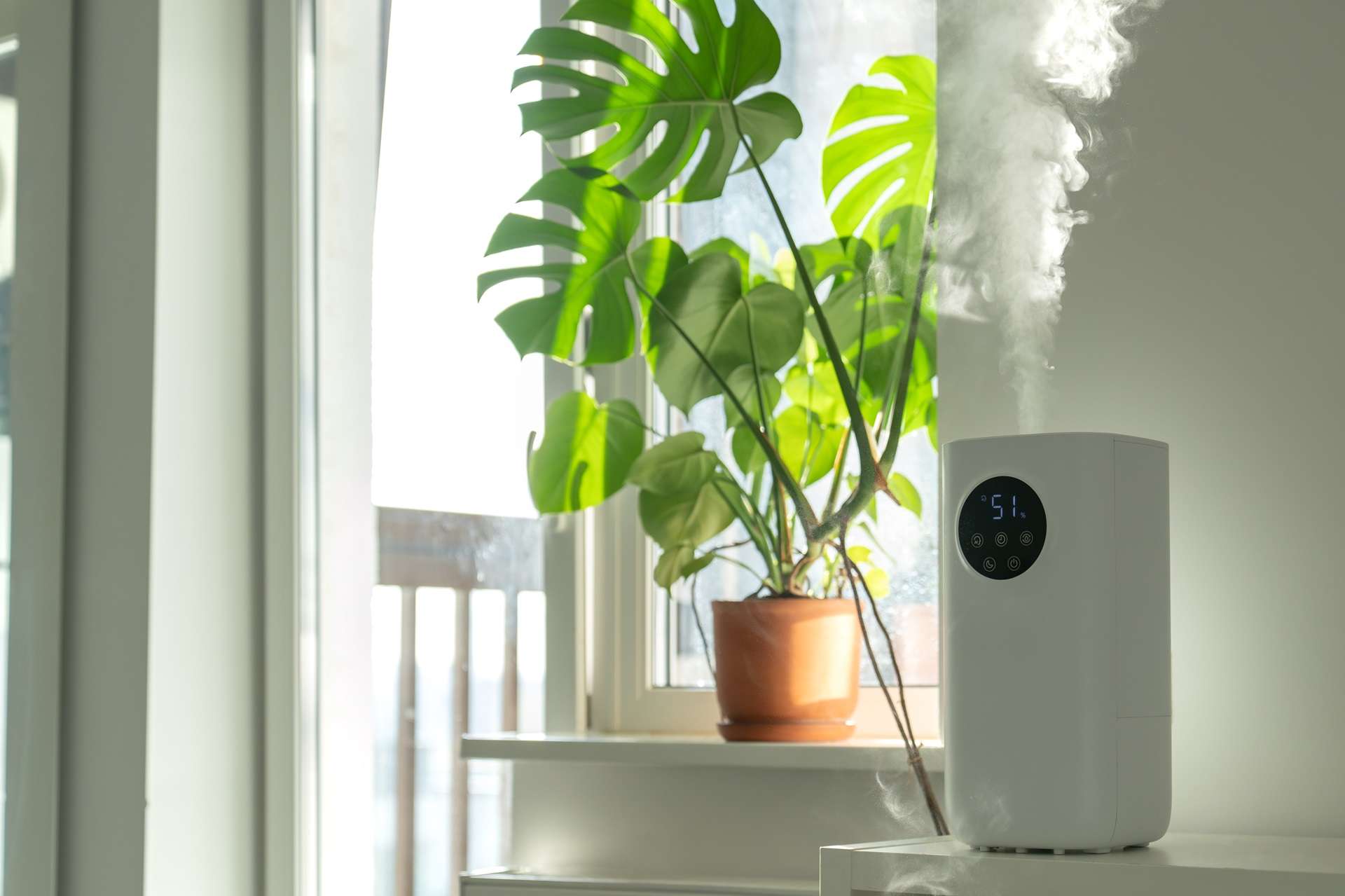 modern humidifier at home moistens dry air surrou 2023 12 13 07 45 03 utc