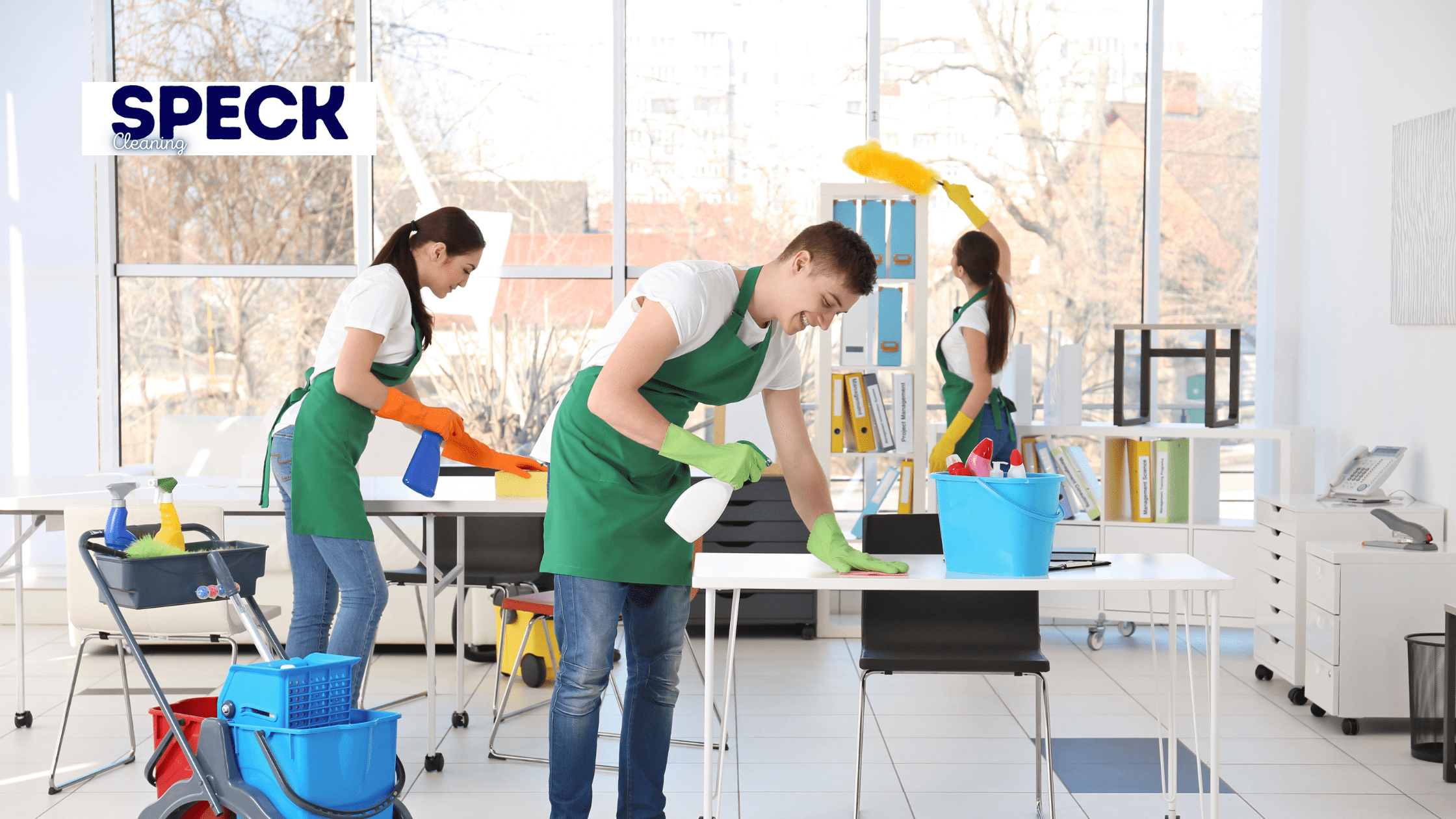 speck cleaning cleaning services phoenix