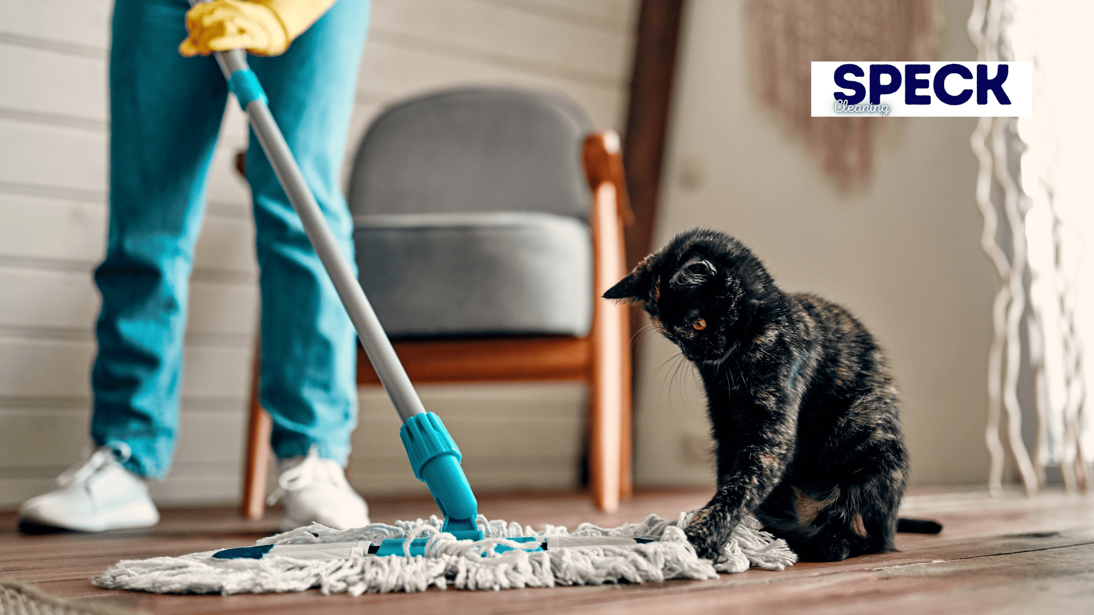 best cleaning service arizona 2